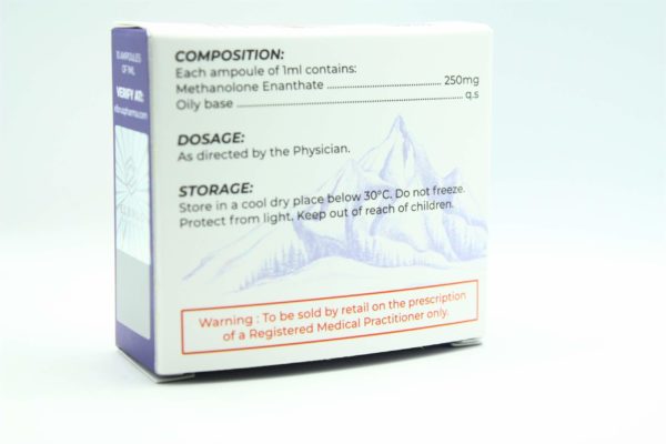 Primobolan Depot (Elbrus Pharmaceuticals) (10 Phiolen x 100mg) – Bild 3
