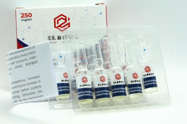 Testosterone Enanthate (Elbrus Pharmaceuticals) (10 Phiolen x 250mg) – Bild 2