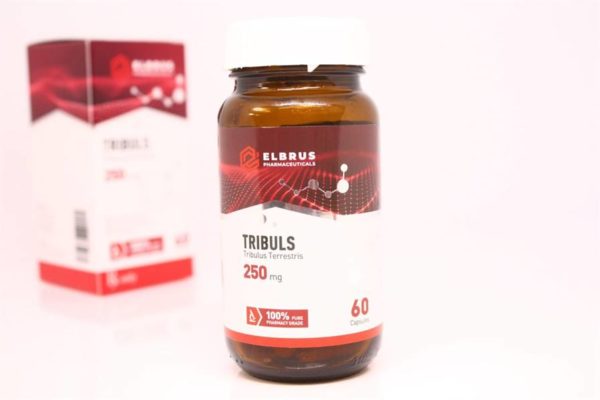 Tribuls (Tribulus Terrestris) (Elbrus Pharma) (60 Kapseln x 250mg)