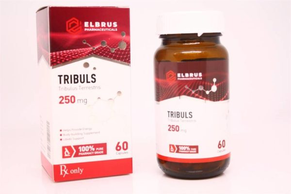 Tribuls (Tribulus Terrestris) (Elbrus Pharma) (60 Kapseln x 250mg) – Bild 2