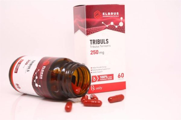 Tribuls (Tribulus Terrestris) (Elbrus Pharma) (60 Kapseln x 250mg) – Bild 3
